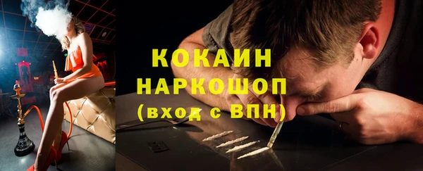 меф Ельня