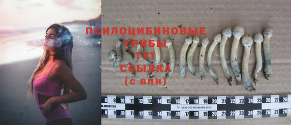 меф Ельня
