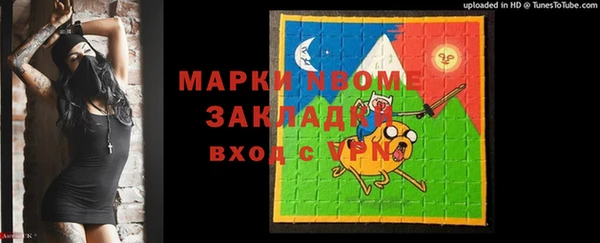 меф Ельня