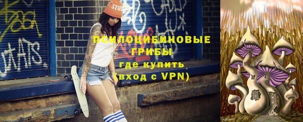 спиды Елизово