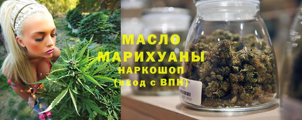 меф Ельня