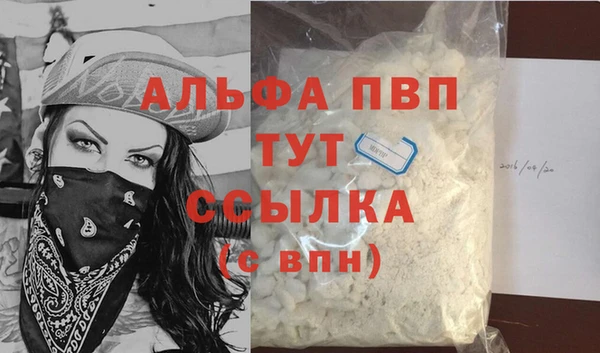 меф Ельня