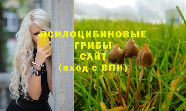 меф Ельня