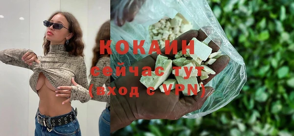 меф Ельня