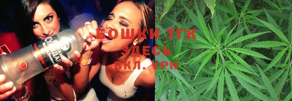 меф Ельня
