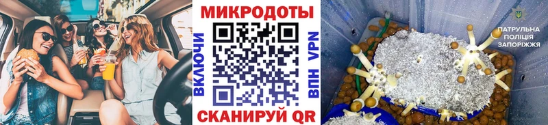 Галлюциногенные грибы Magic Shrooms даркнет наркотические препараты hydra ССЫЛКА Камень-на-Оби дарнет шоп